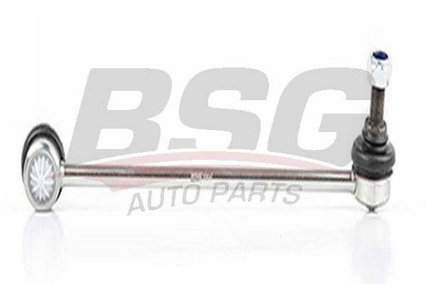 BSG 60310164 Viraj Askı Rotu Ön