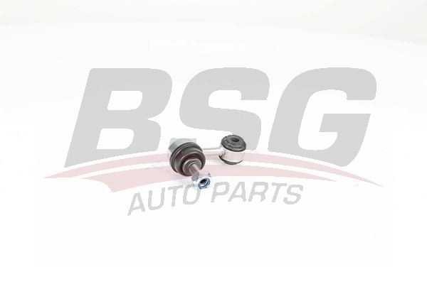 BSG 90310204 Viraj Askı Rotu Ön
