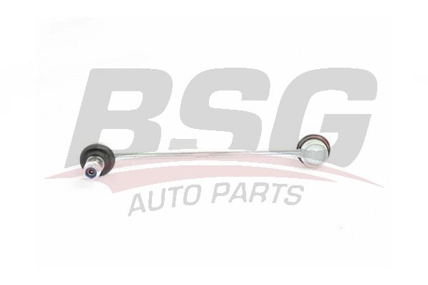 BSG 40310111 Viraj Askı Rotu Ön