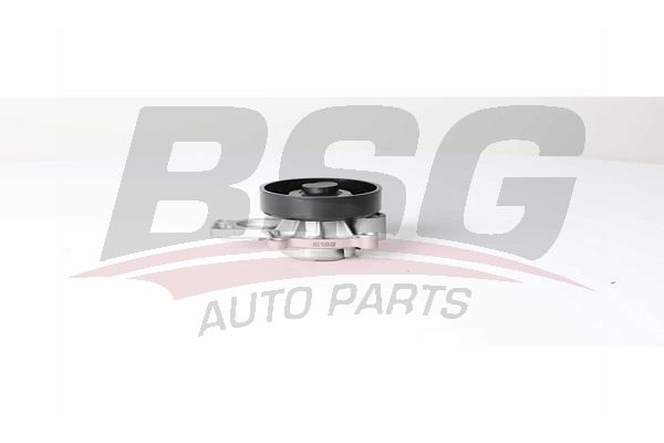 BSG 15500026 Devirdaim