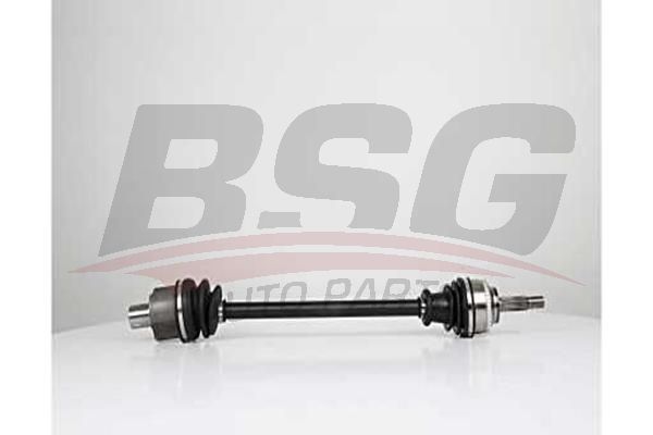 BSG 75350029 Aks Komple Ön Sağ