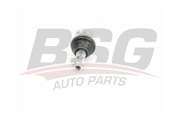 BSG 90310163 Rotil Alt