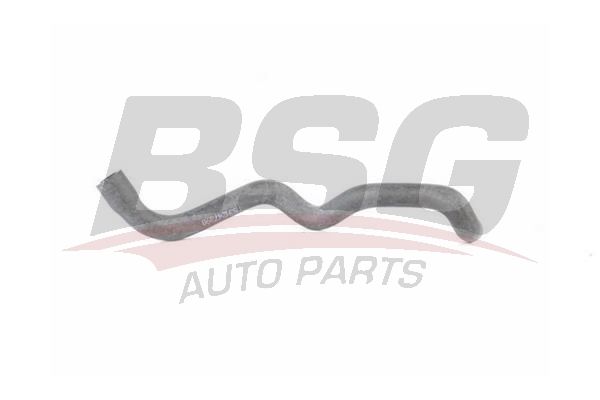 BSG 15720004 Su Hortumu