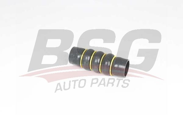 BSG 70720210 Turbo Hortumu