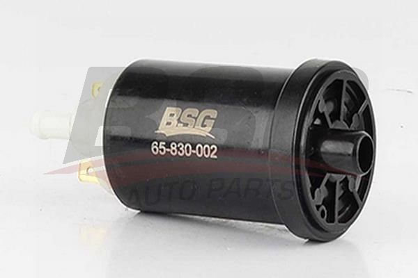 BSG 65830003 Yakıt Pompası