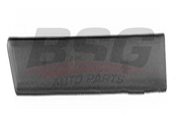 BSG 30926001 Çamurluk Kusağı Arka Sağ