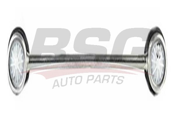 BSG 65310010 Viraj Askı Rotu Ön
