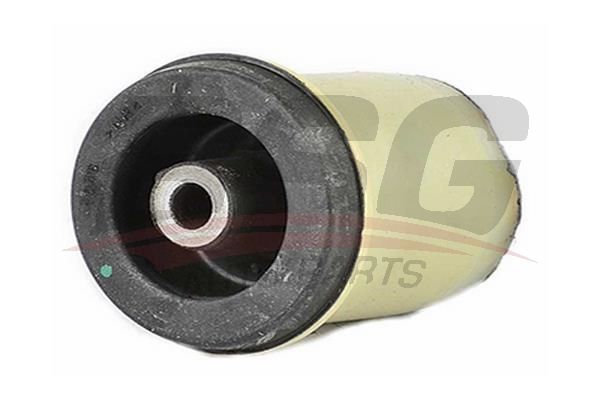 BSG 65700202 Dingil Burcu Arka