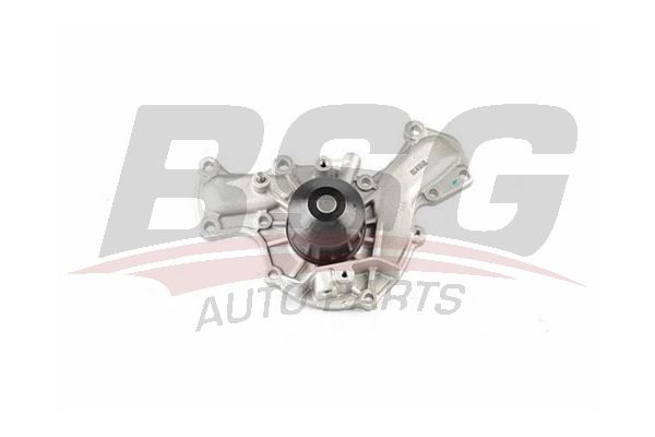 BSG 40500008 Devirdaim