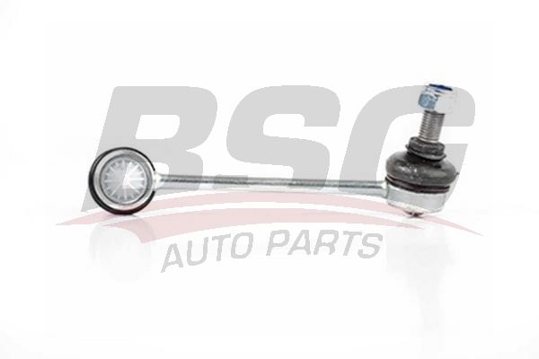 BSG 60310180 Viraj Askı Rotu Ön Sol