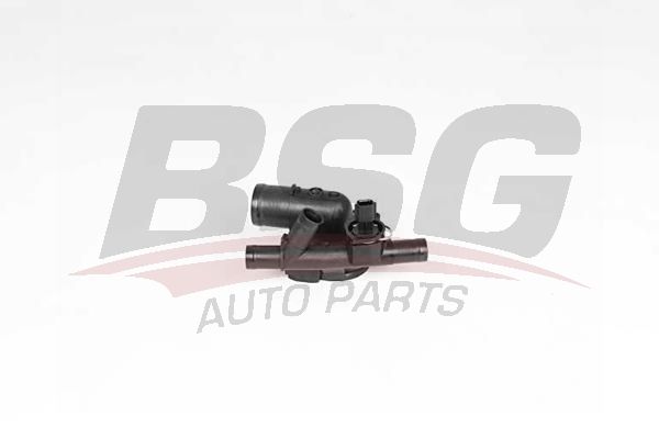BSG 65125027 Termostat