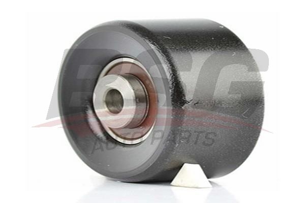 BSG 70615011 V Kayış Gergi Rulmanı