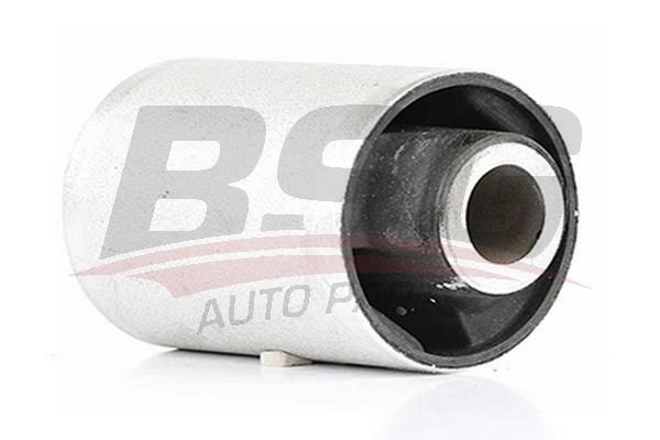 BSG 60700125 Salıncak Burcu