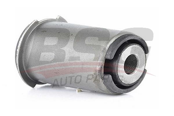 BSG 15700012 Salıncak Burcu
