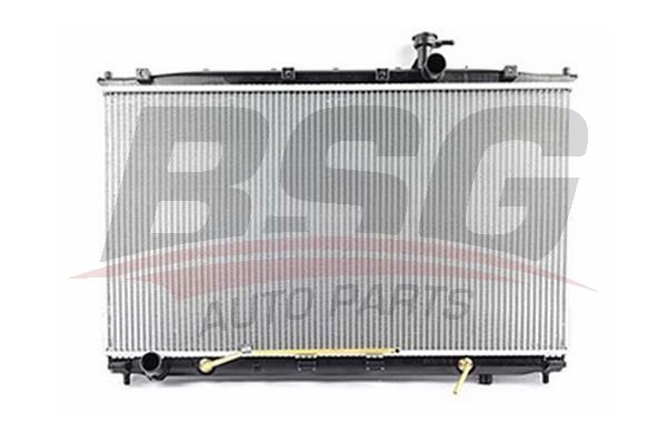 BSG 40520021 Su Radyatörü