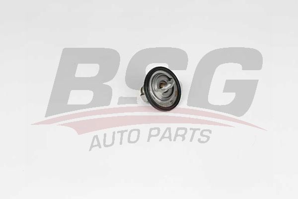 BSG 16125006 Termostat
