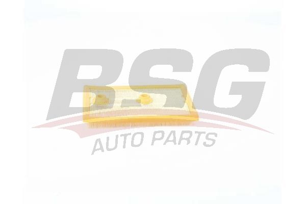 BSG 90135026 Hava Filtresi - . Görsel