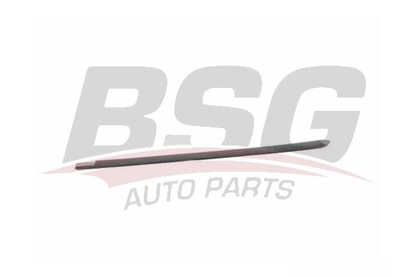 BSG 90924051 Kapı Bandı Arka Sol