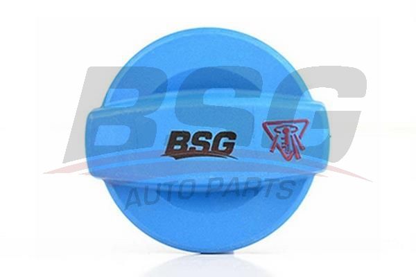 BSG 90551002 Radyatör Yedek Su Depo Kapağı - . Görsel