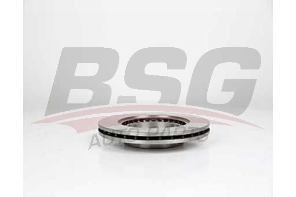 BSG 75210003 Fren Diski Ön