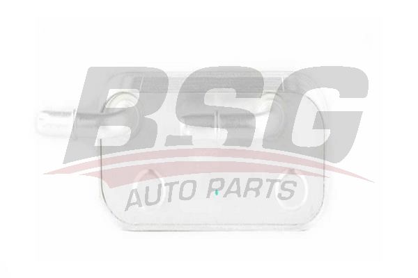 BSG 15506001 Yağ Soğutucusu