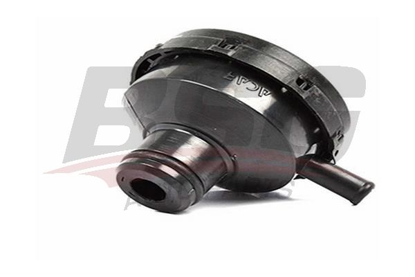 BSG 30700033 Motor Buhar Yağ Ayırıcı - . Görsel