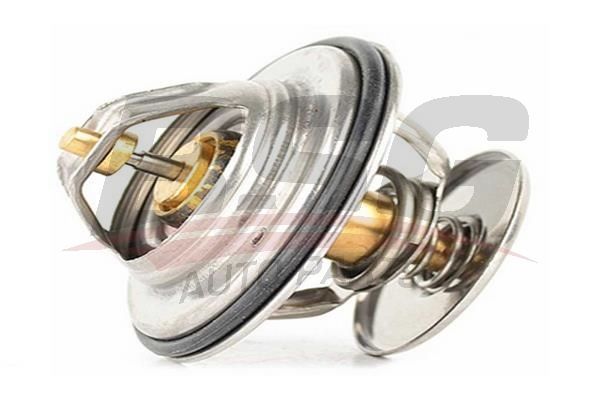 BSG 60125014 Termostat