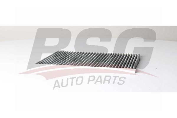 BSG 65145017 Polen Filtresi