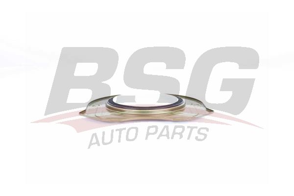 BSG 30116142 Krank Keçesi Arka
