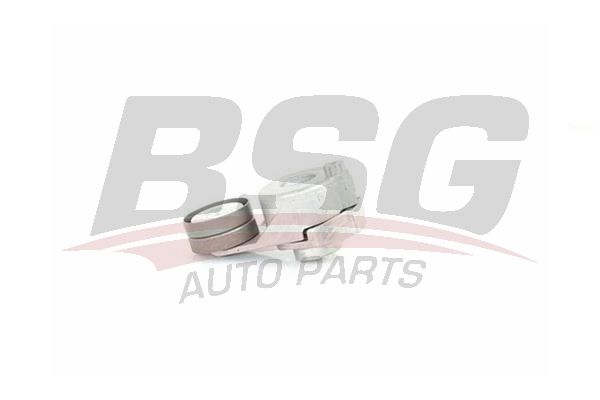 BSG 60615028 V Kayış Gergisi Komple
