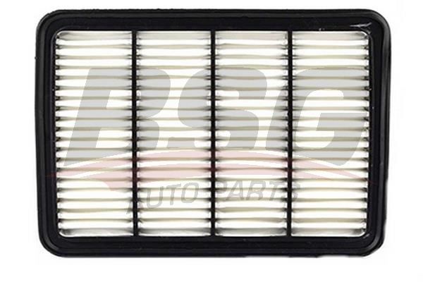 BSG 30137006 Hava Filtresi