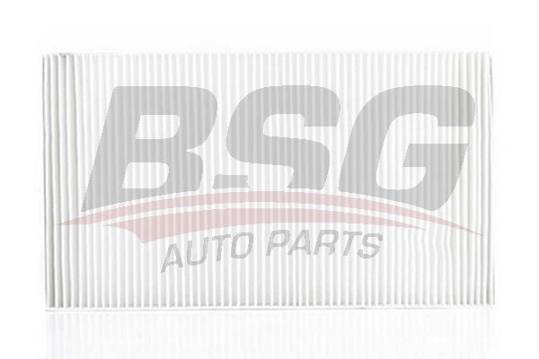 BSG 60145001 Polen Filtresi