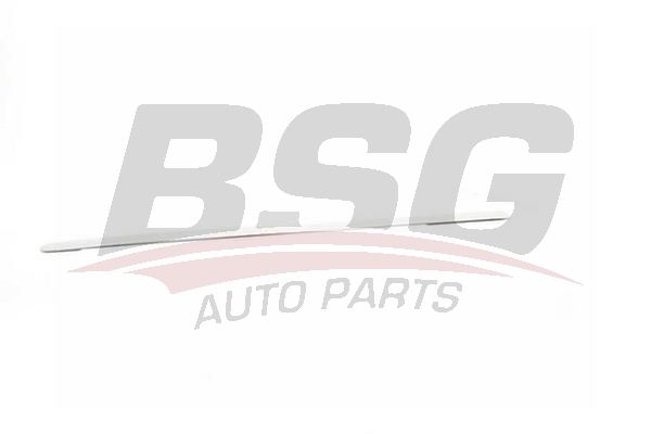 BSG 90924029 Kapı Bandı Ön Sol