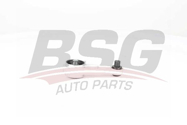 BSG 75705032 Motor Takozu Arka