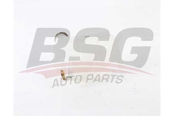 BSG 60550011 Radyatör Yedek Su Deposu - . Görsel