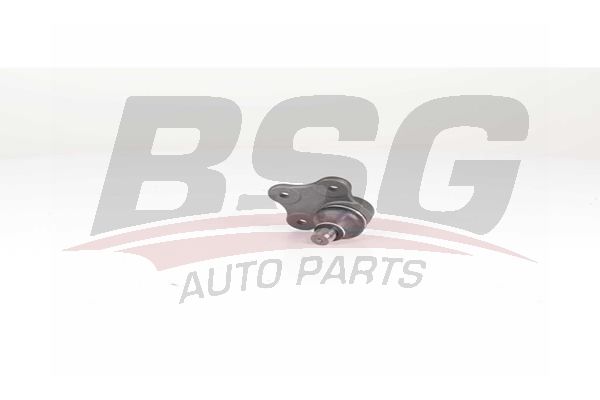 BSG 25310028 Rotil Alt