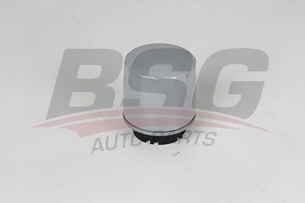 BSG 90140020 Yağ Filtresi