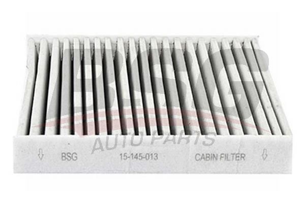BSG 15145013 Polen Filtresi