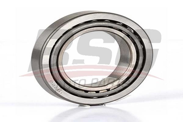 BSG 30605018 Porya Rulmanı Arka