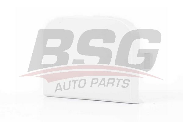 BSG 30922055 Çeki Demir Kapağı Ön