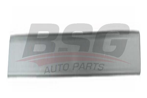 BSG 30924036 Kapı Bandı Ön Sağ