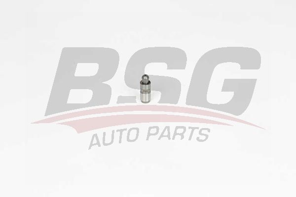 BSG 60122004 Supap Itıcısı