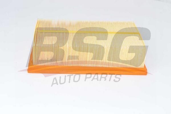 BSG 90135020 Hava Filtresi