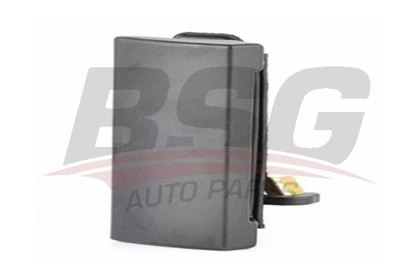 BSG 30970022 Kapı Dış Açma Kolu Arka