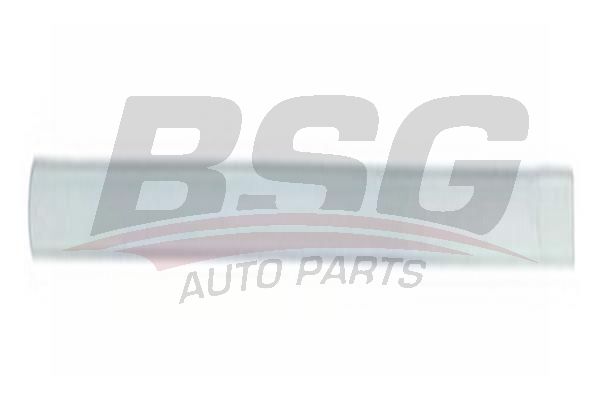 BSG 30924049 Kapı Kusağı Arka Sol