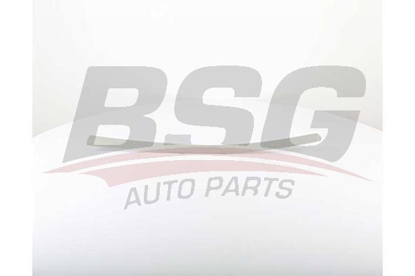 BSG 70925010 Kapı Bandı Ön Sol