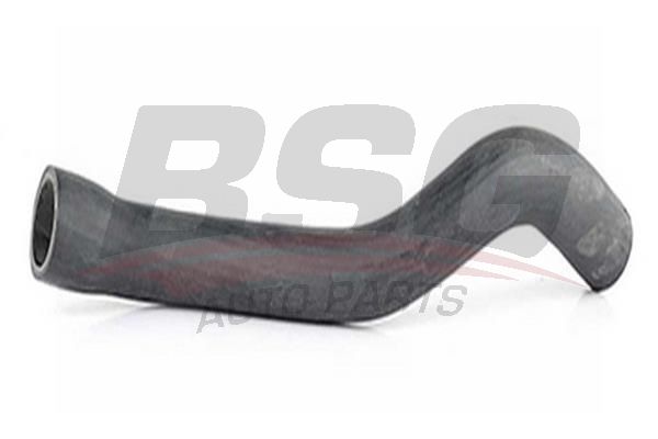 BSG 65720023 Radyatör Hortumu Alt - . Görsel