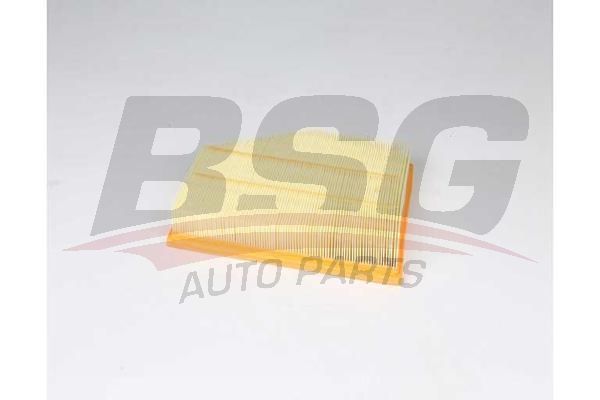 BSG 15135016 Hava Filtresi