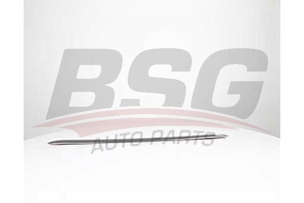 BSG 65925038 Kapı Bandı Arka Sol