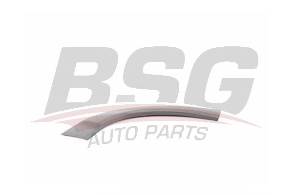 BSG 70925001 Kapı Bandı Ön